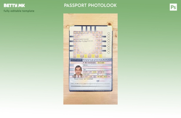 Модерен стил холандски (холандски) пасош ( ) шаблон за изглед на фотографија